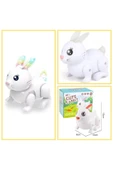 admay Rabbit pilli Işıklı müzikli hareketli oyuncak - 1
