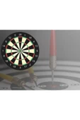 admay Dart Seti Küçük Boy 30 Cm 12'' (12 Inç) + 4 Adet Dart Oku - Çift Taraflı Hedef Tahtası Seti - 4