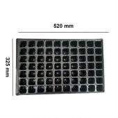 70 Göz Viyol (10 Adet) FİDE YETİŞTİRME VİYOLÜ FİDAN YETİŞTİRME KABI ÇİLEK SEBZE MEYVE SÜS BİTKİSİ SKULENT FİDELİK - 2