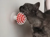 Mantar Görünümlü Kedi Kaşıma Oyuncağı  Tımar Mantarı   Duvara Yapıştırılabilir - 1