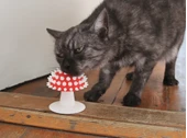 Mantar Görünümlü Kedi Kaşıma Oyuncağı  Tımar Mantarı   Duvara Yapıştırılabilir - 3