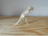 T-Rex 3D Dinozor Puzzle Maket Kiti 29 Parça Kurulabilir Oyuncak İskelet Hobi Eğitim Koleksiyon - 3