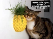 Ananas Şekilli Kedi Kaşıma Aparatı (Kedi Çimi Eklenebilir Duvara Montaj Dekoratif Tasarım) - 3