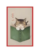 Kitap Okuyan Kedi Çizimli Hediye Not Kartı & Kartpostallar  Sevimli ve Şık Tasarım  10x15 cm - 1