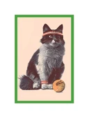 Sevimli Kedi Temalı Tasarım Kart  Dekoratif Hediye Not Kartı ve Kartpostal  10x15 cm - 1