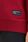 Kadın Bordo Renk Basic Bisiklet Yaka Sweatshirt thumbnail 5