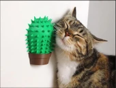 Kaktüs Kedi Kaşıma Aparatı Catnip Hazneli, Duvara Takılabilir Oyuncak - 1