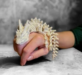 Hareketli İskelet Ejderha Figürü  Oynar Eklemli Dekoratif Oyuncak Koleksiyonluk Sürüngen - 3