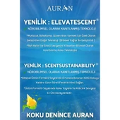 Auran Okyanus Esansiyel Uçucu Koku Yağı Buhurdanlık Yağı Difüzör Esansı Hobi Esans Ortam Oda Kokusu 10ml - 6
