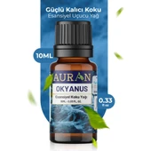 Auran Okyanus Esansiyel Uçucu Koku Yağı Buhurdanlık Yağı Difüzör Esansı Hobi Esans Ortam Oda Kokusu 10ml - 1