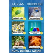 Auran Okyanus Esansiyel Uçucu Koku Yağı Buhurdanlık Yağı Difüzör Esansı Hobi Esans Ortam Oda Kokusu 10ml - 5