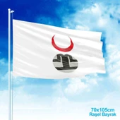 Altın Ordu Devleti Bayrağı-17 Eski Türk Devleti Bayrağı -70x105 cm thumbnail 1