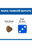 Hill's SCIENCE PLAN Healthy Development Tavuklu Kısırlaştırılmış Yavru Kedi Maması 3kg thumbnail 3