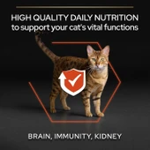 Pro Plan Somonlu ve Pirinçli Yetişkin Kedi Maması 3kg thumbnail 5