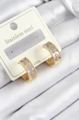 316L Çelik Zirkon Taşlı Halka Model Gold ve Gümüş Renk Kadın Küpe - 1