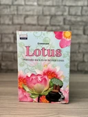 Lotus Geri Akış Tütsü - 1