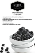 SELKUR Yaban Mersini 500gr(BLUEBERRY) 1.kalite - 4