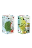 Bilge İlaç Çilek ve Ananas Aromalı Matcha Çayı (1'er Kutu Toplam 2 Kutu=40 Şase(Poşet)) - 1