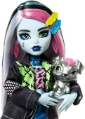 Monster High Ana Karakter Bebekler Frankie Stein HPD53 HXH73 thumbnail 3