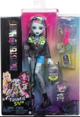 Monster High Ana Karakter Bebekler Frankie Stein HPD53 HXH73 thumbnail 1