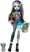 Monster High Ana Karakter Bebekler Frankie Stein HPD53 HXH73 thumbnail 2