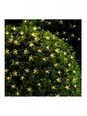 Solar 30 Ledli Çiçekli Günışığı Bahçe Aydınlatma Dekorasyon Güneş Enerjili thumbnail 2