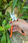 SürLaz Profesyonel Budama Makası, Ergonomik Kaymaz Saplı, Yeşil, Bahçe Bitki ve Dal Kesimi için - 6