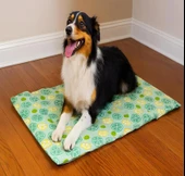 Pawise Serinletici Mat M 50x40 Cm Çiçek Desenli thumbnail 2