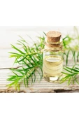 Çay Ağacı Hint Defnesi Yağı Saf Katkısız Orjinal 20 ml - 2