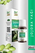 Jojoba Yağı - 1