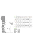 DUKAVAS Orta Basınçlı (23 - 32 Mmhg) Külotlu Varis Çorabı (Burnu Açık ) 2XL - 2