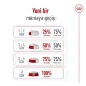 Royal Canin Mini Adult 4 kg Küçük Irk Yetişkin Köpek Maması thumbnail 6