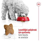 Royal Canin Mini Adult 4 kg Küçük Irk Yetişkin Köpek Maması thumbnail 7