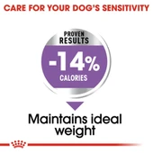 Royal Canin Sterilised Mini 3 kg Kısırlaştırılmış Küçük Irk Yetişkin Köpek Maması thumbnail 5