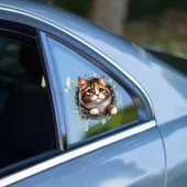 Fulcar Stray Araç Stickerı thumbnail 3