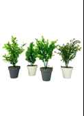 Nettenevime 4lü Set Yapay Çiçek Mini Saksıda Yeşil Bitkiler 30cm thumbnail 1