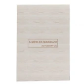 Dilman Serbest Meslek Makbuzu Otokopili 3 Nüsha thumbnail 1