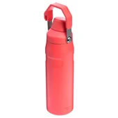 Stanley Iceflow Fast Flow Soğuk Su Termosu 0.70 Lt - 9