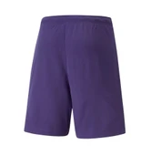 Puma Antrenman ürünleri Şort Teamrise Short - 2