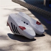 HOOPS 4.0 - 3