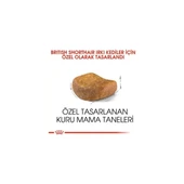 British Shorthair Adult Yetişkin Kedi Maması 10 kg thumbnail 4