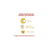 British Shorthair Adult Yetişkin Kedi Maması 10 kg thumbnail 3