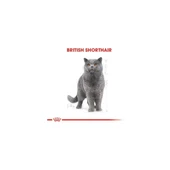 British Shorthair Adult Yetişkin Kedi Maması 10 kg thumbnail 2