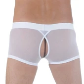 Tegan DM291122 Transparan Arkası Açık Mini Boxer - 1