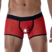 Kırmızı Erkek Boxer - 1