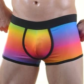 Renkli Erkek Boxer - 2