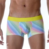 Renkli Boxer - 1
