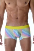 Renkli Boxer - 2