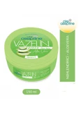Cire Aseptine Vazelin Aloe Vera 150 ml - 1