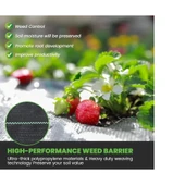 Yabani Ot Bariyer Matı - 1